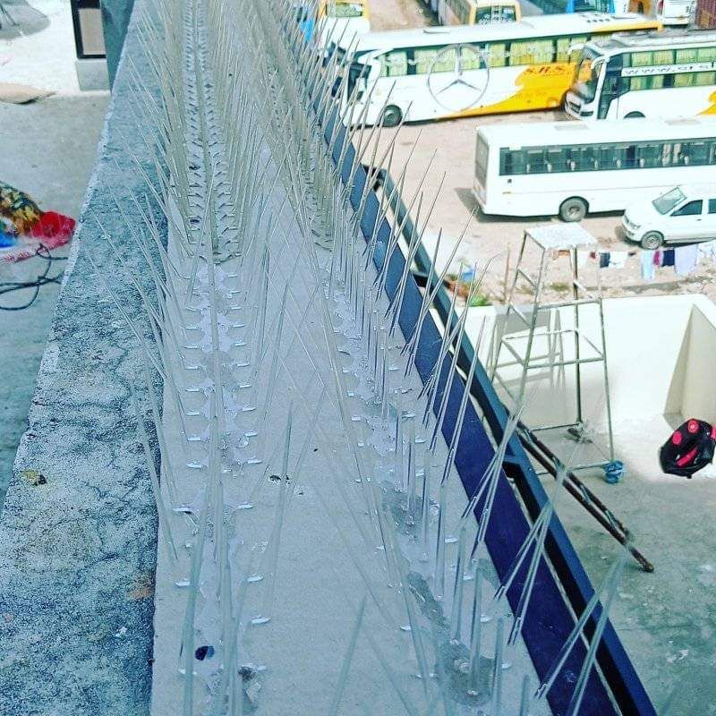 Bird Net Installation